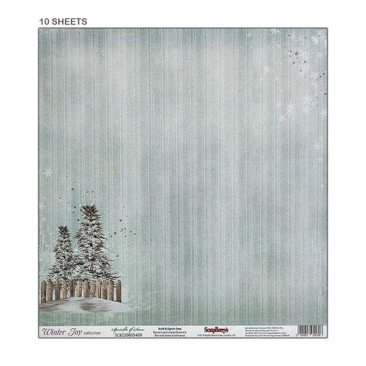 12x12 Paper, 10 Sheets, Sprinkle of Snow