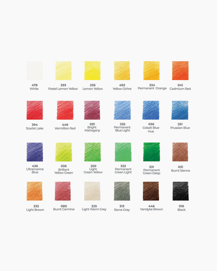 Camlin Artist Colour Pencils