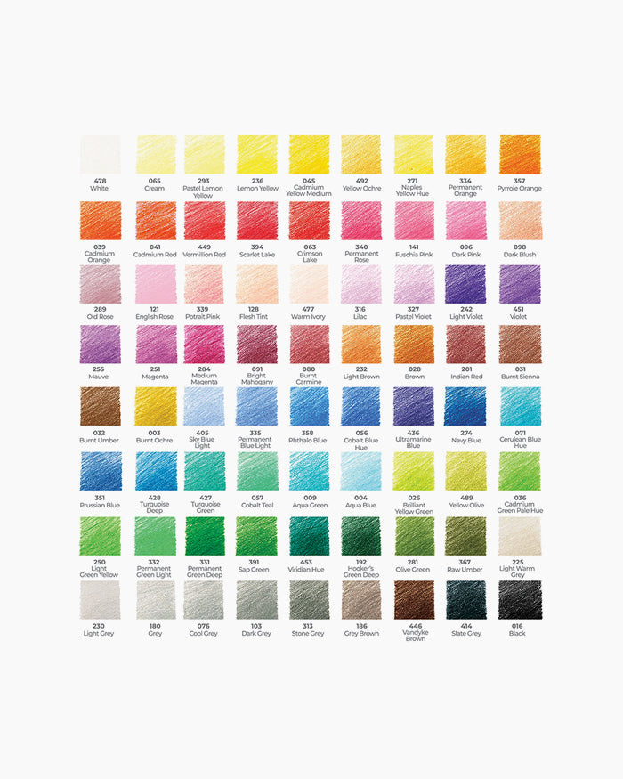 Camlin Artist Colour Pencils
