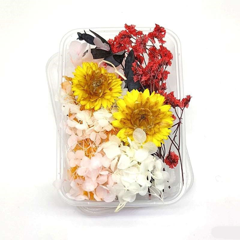 Dried Flowers Box