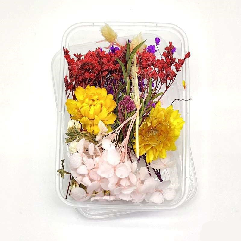 Dried Flowers Box