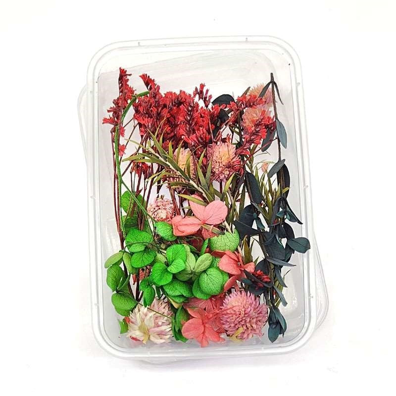 Dried Flowers Box