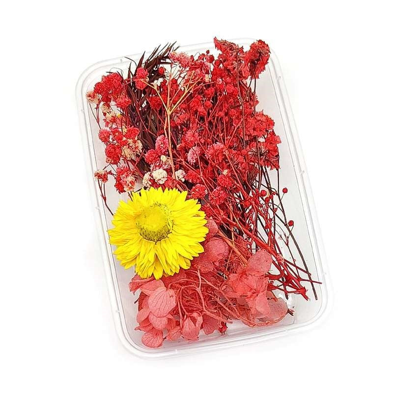 Dried Flowers Box