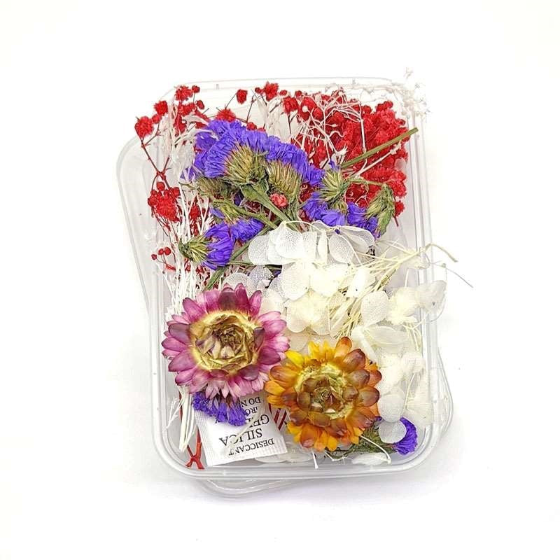 Dried Flowers Box