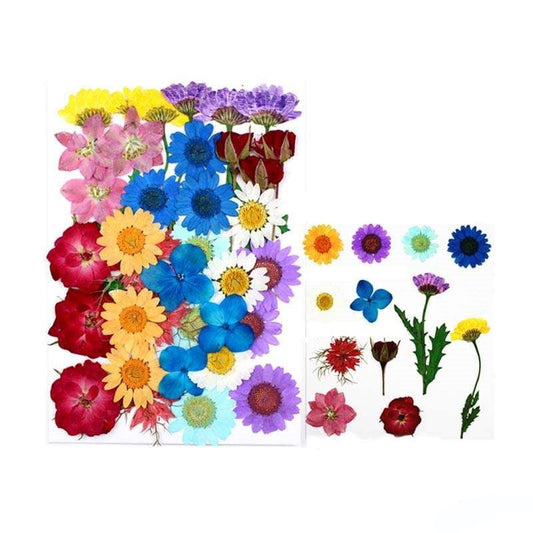 Natural Dried Pressed Flowers