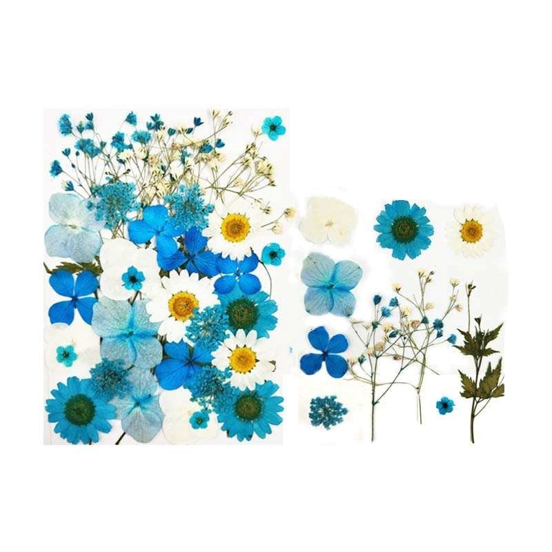 Natural Dried Pressed Flowers