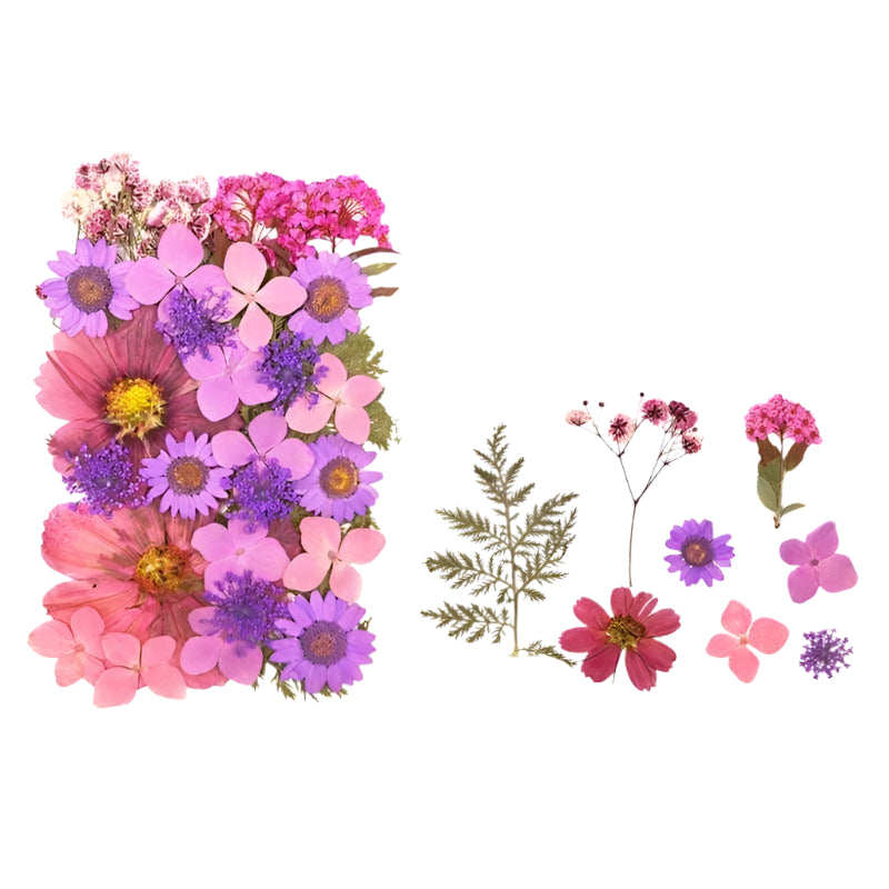 Natural Dried Pressed Flowers