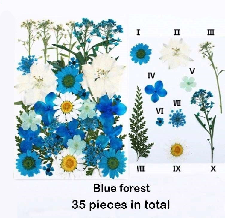 Natural Dried Pressed Flowers