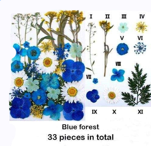 Natural Dried Pressed Flowers