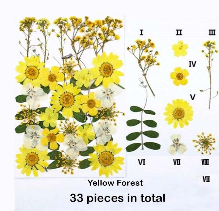 Natural Dried Pressed Flowers