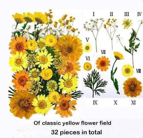 Natural Dried Pressed Flowers