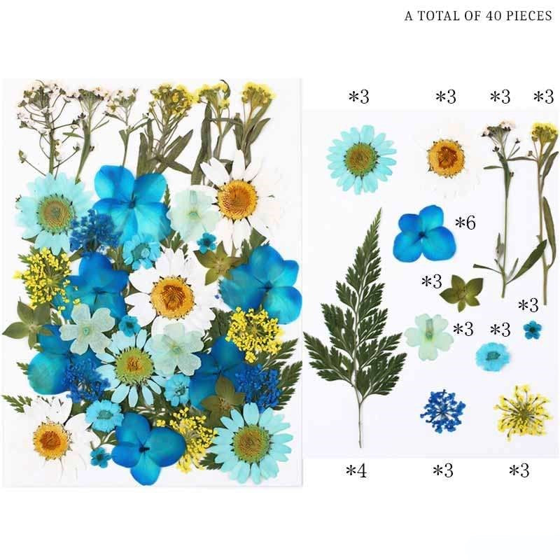 Natural Dried Pressed Flowers