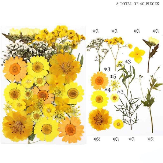 Natural Dried Pressed Flowers