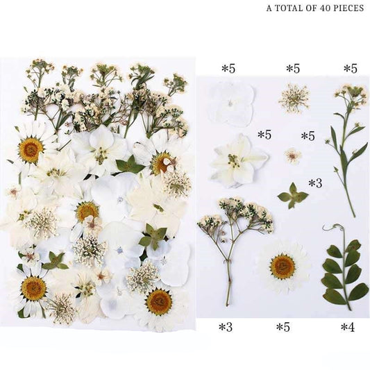 Natural Dried Pressed Flowers