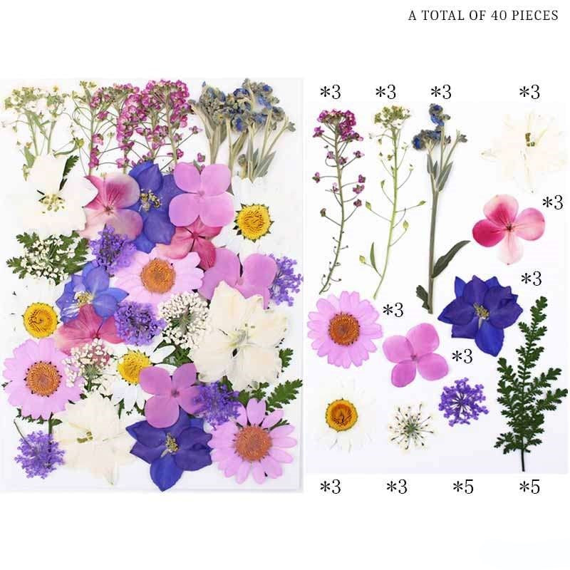 Natural Dried Pressed Flowers