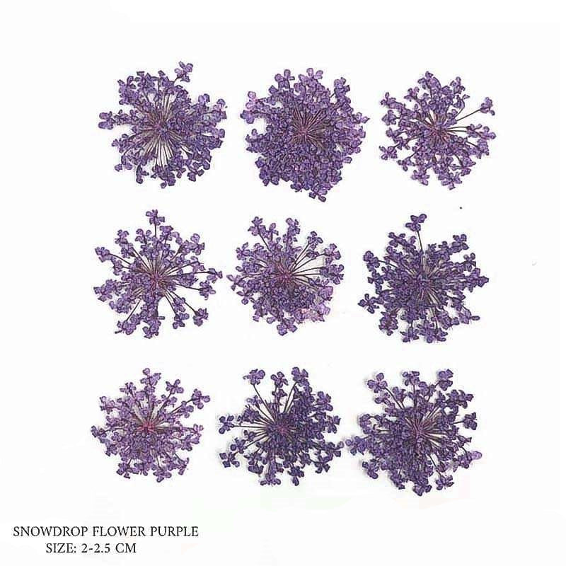 Natural Dried Pressed Snowdrop Flowers Purple