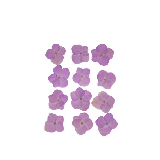 Natural Dried Pressed Flowers