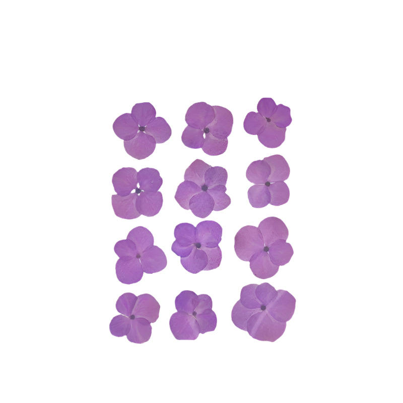 Natural Dried Pressed Flowers