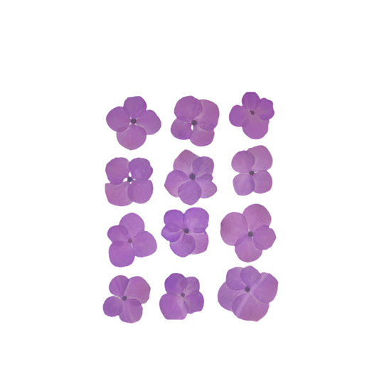 Natural Dried Pressed Flowers