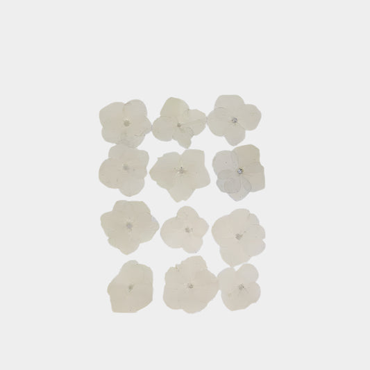 Natural Dried Pressed Flowers