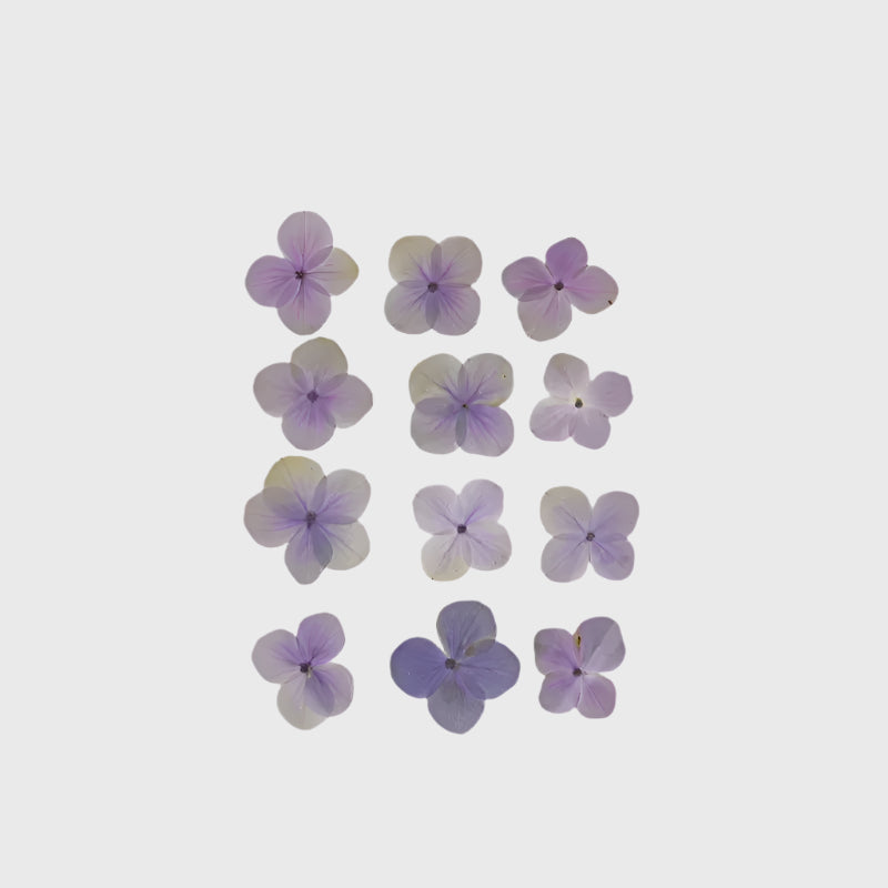Natural Dried Pressed Flowers
