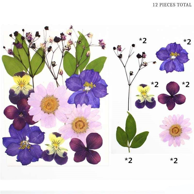 Natural Dried Pressed Flowers