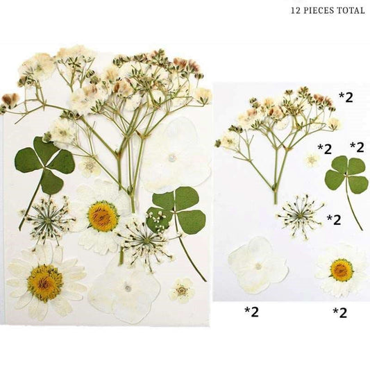 Natural Dried Pressed Flowers