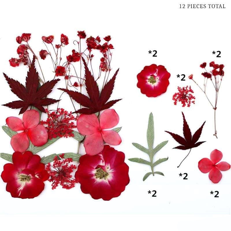 Natural Dried Pressed Flowers