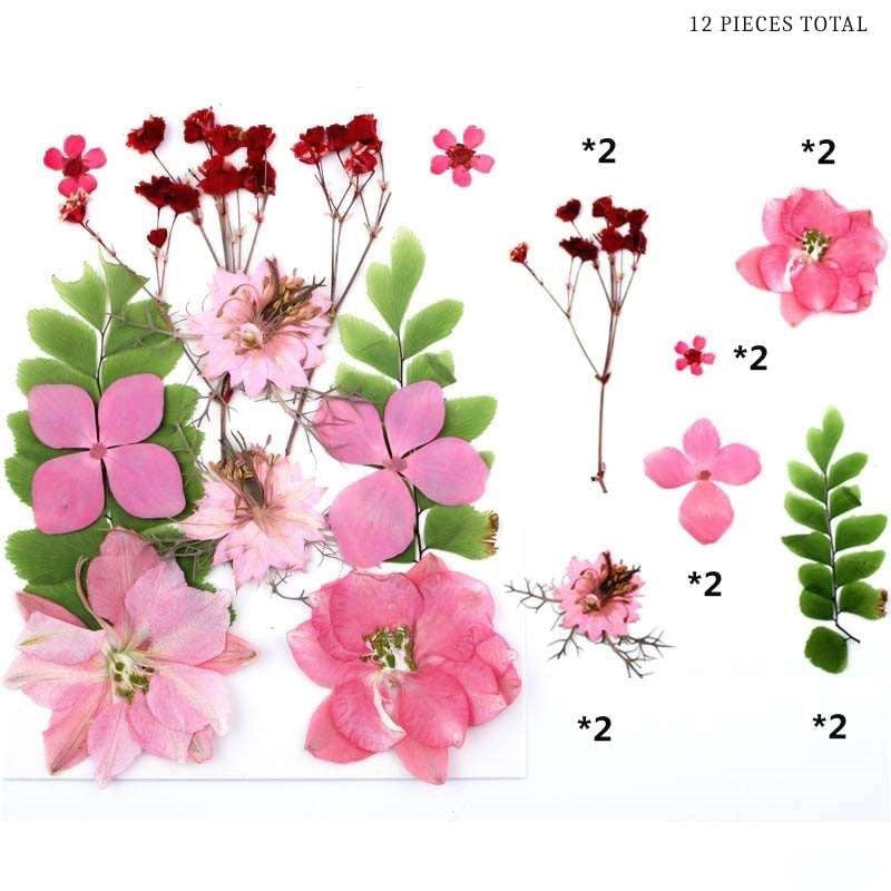 Natural Dried Pressed Flowers