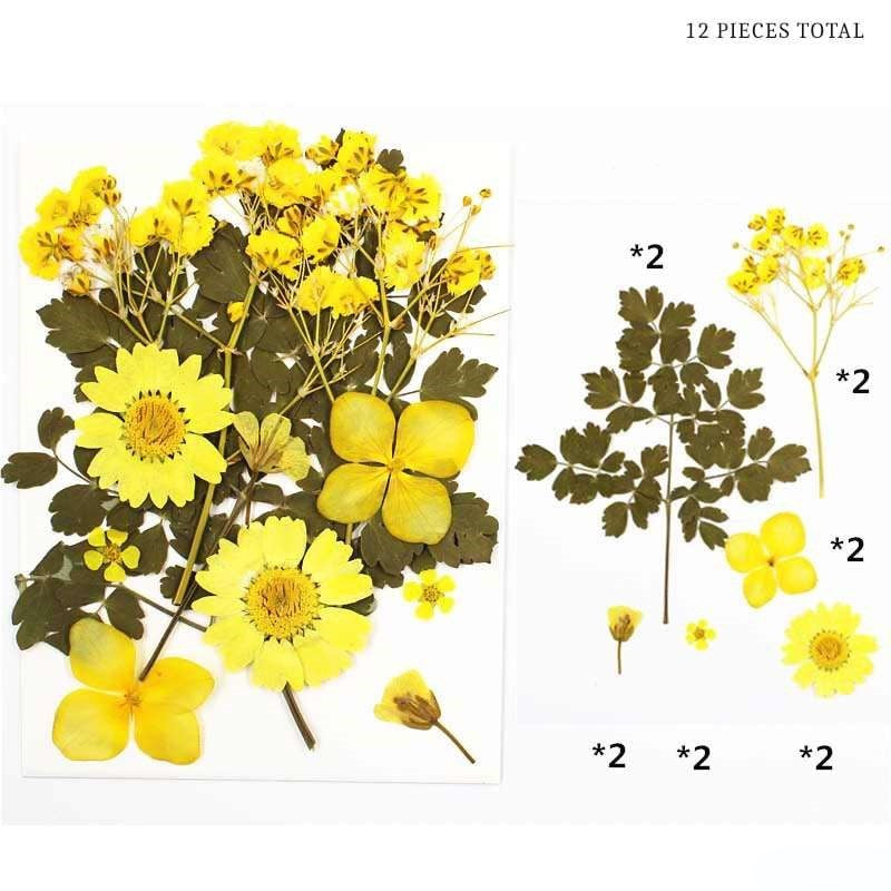 Natural Dried Pressed Flowers