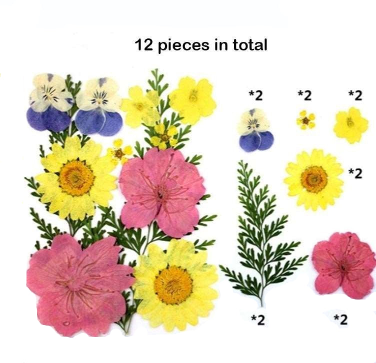 Natural Dried Pressed Flowers