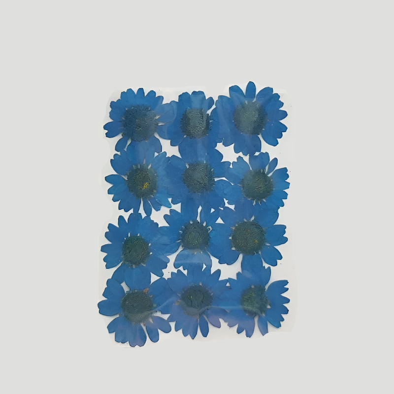 Natural Dried Pressed Flowers