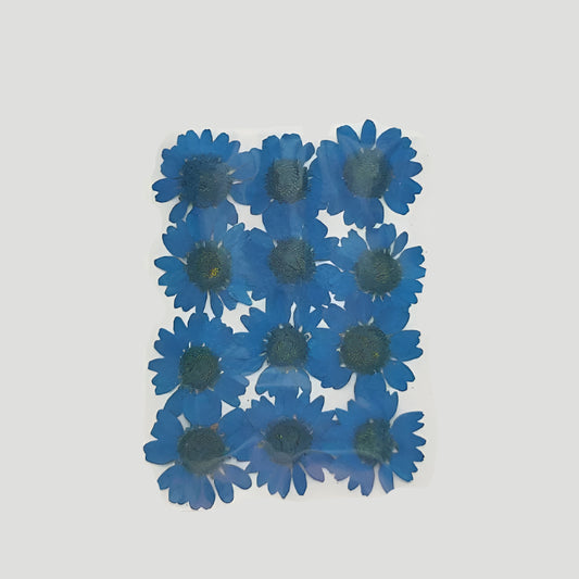 Natural Dried Pressed Flowers