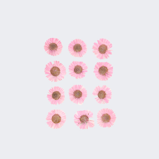 Natural Dried Pressed Flowers
