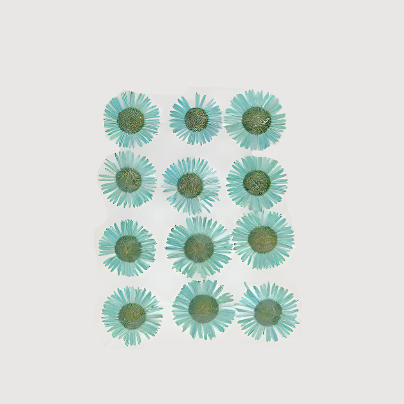 Natural Dried Pressed Flowers