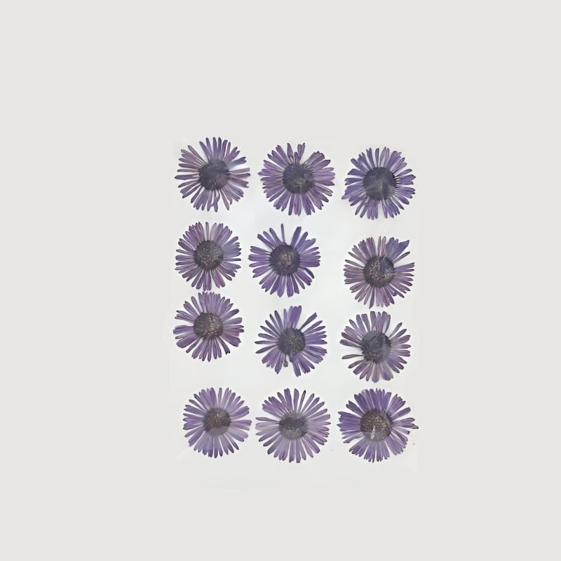 Natural Dried Pressed Flowers