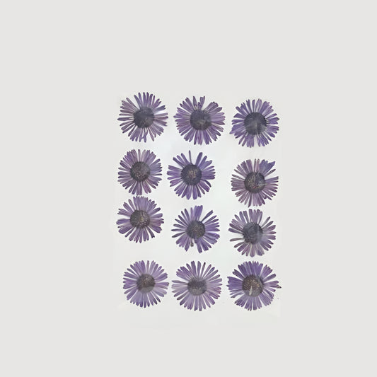 Natural Dried Pressed Flowers