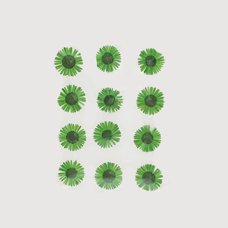 Natural Dried Pressed Flowers