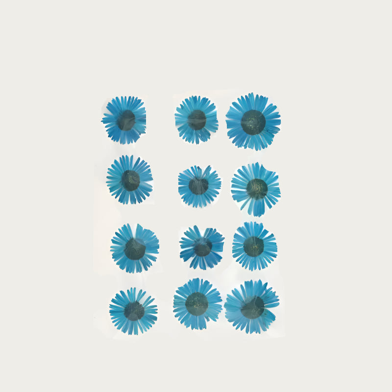 Natural Dried Pressed Flowers