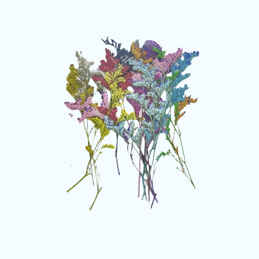 Natural Dried Pressed Flowers