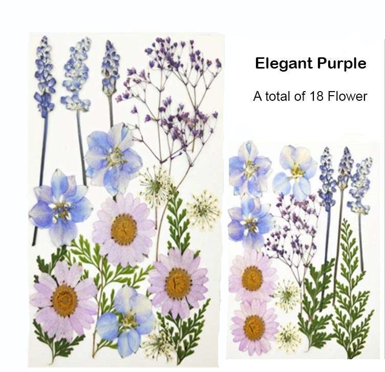 Natural Dried Pressed Flowers Elegant Purple