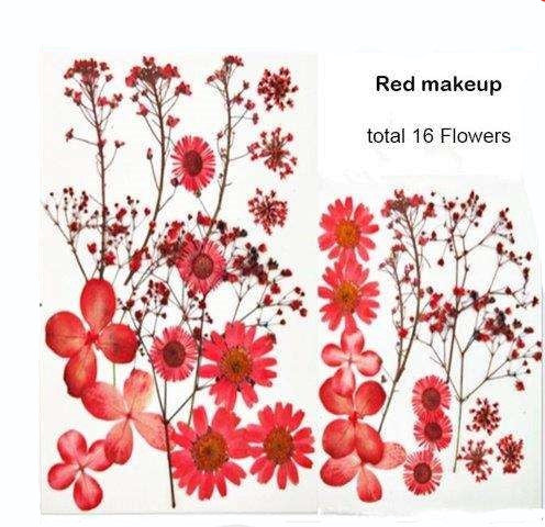 Natural Dried Pressed Flowers