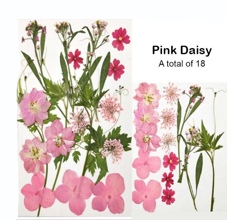 Natural Dried Pressed Flowers