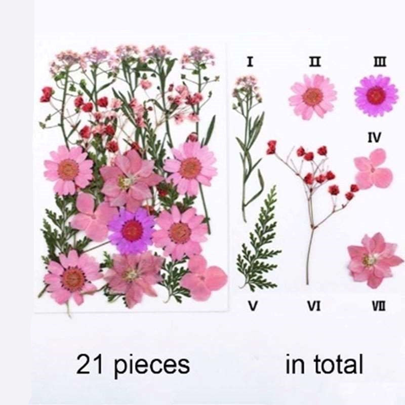 Natural Dried Pressed Flowers