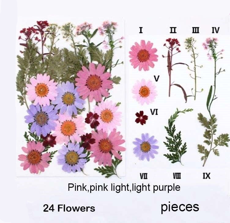 Natural Dried Pressed Flowers