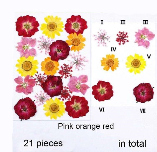 Natural Dried Pressed Flowers