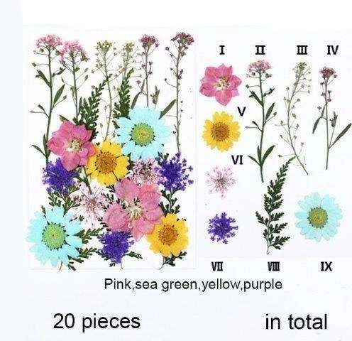 Natural Dried Pressed Flowers