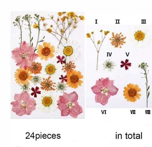 Natural Dried Pressed Flowers