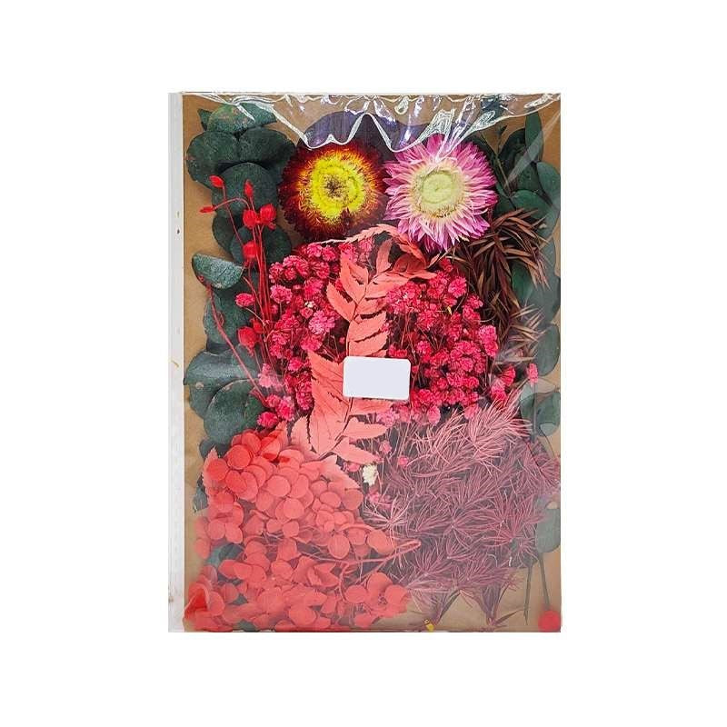 Dried Flowers Pack