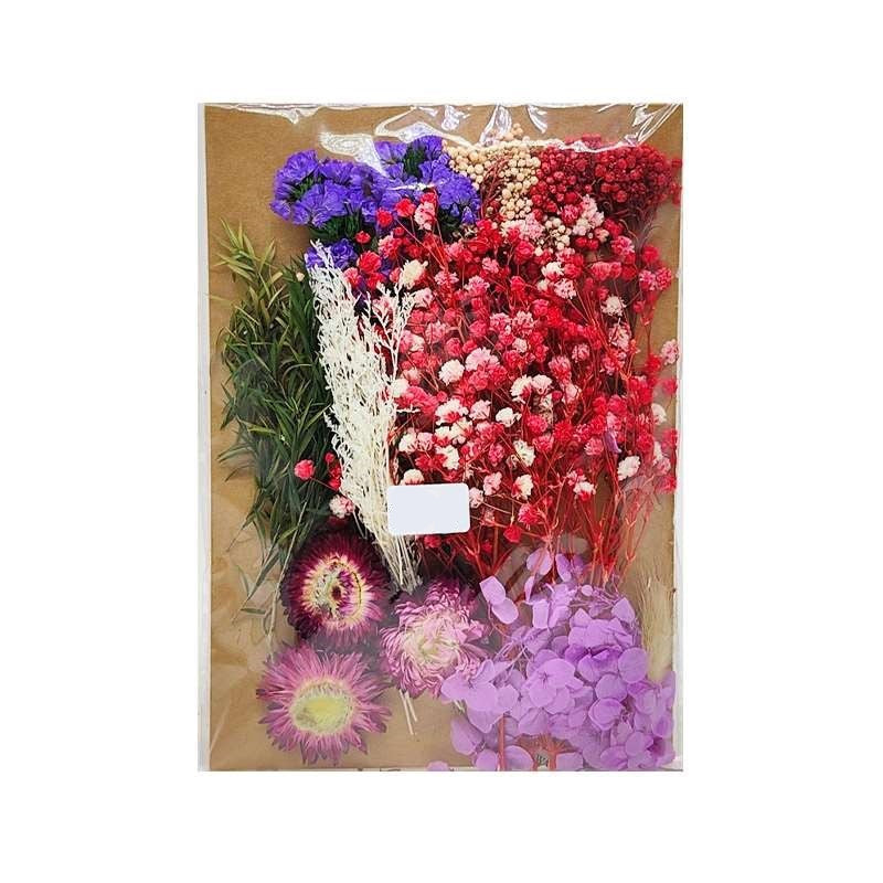 Dried Flowers Pack